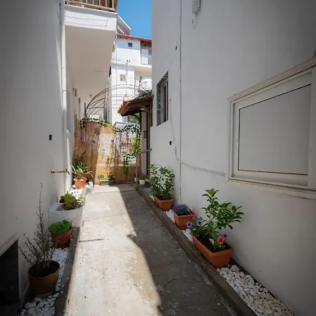 Veroniki By Travel Pro Services - Halkidiki *